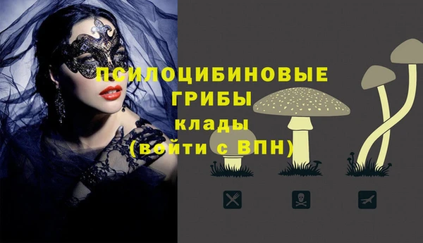 гашик Дмитровск
