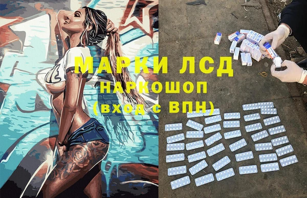 гашик Дмитровск