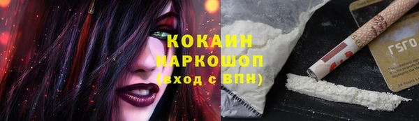 гашик Дмитровск