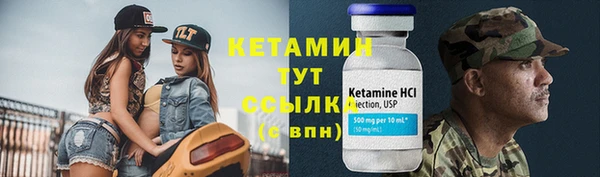 гашик Дмитровск