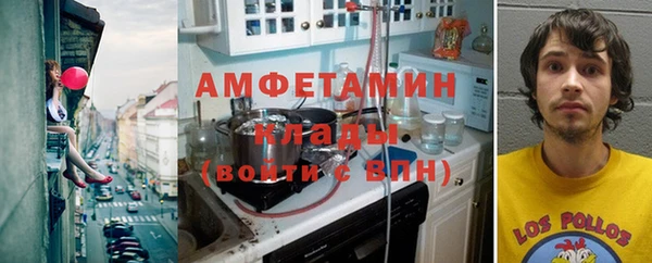 гашик Дмитровск