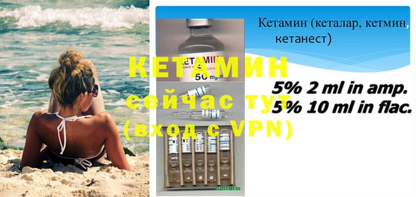 кокс Дмитриев