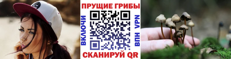 Галлюциногенные грибы прущие грибы  Купить  Туапсе 